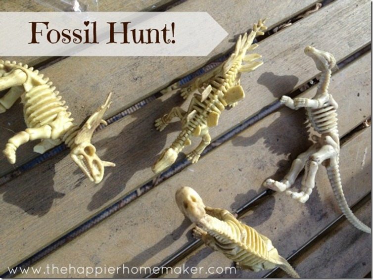 dinosaur fossil hunt