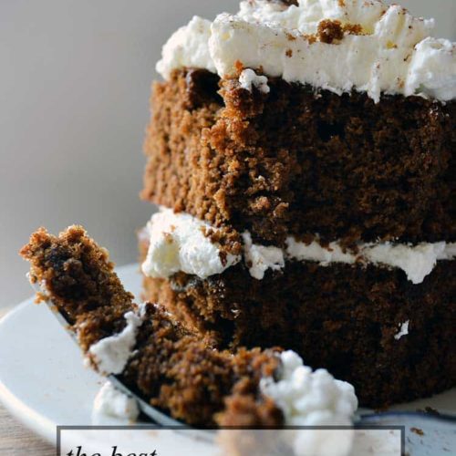 the BEST Gingerbread Cake Recipe--easy to make!