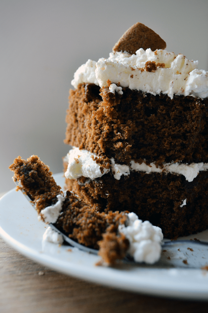 easy-gingerbread-cake-recipe-nelliebellie-s-ktichen