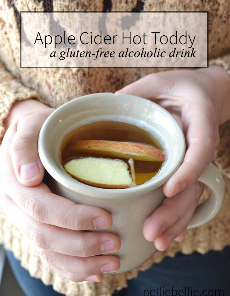 Apple Cider Hot Toddy | Gluten-free recipe from NellieBellie