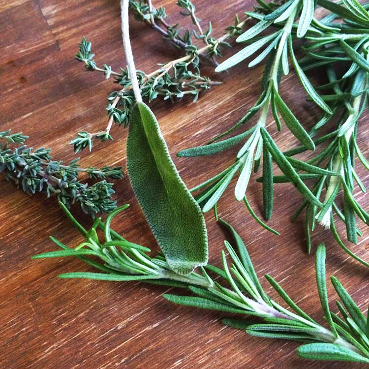 best herbs to infuse in oil for skin