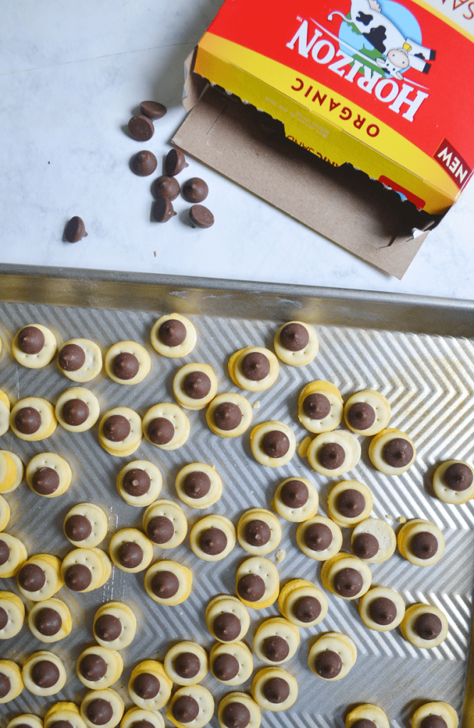 mini peanut butter chocolate cracker crackers â‹† NellieBellie