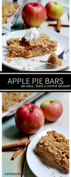 Easy Apple Pie Bars Apple Pie Crumble Nelliebellie Recipe