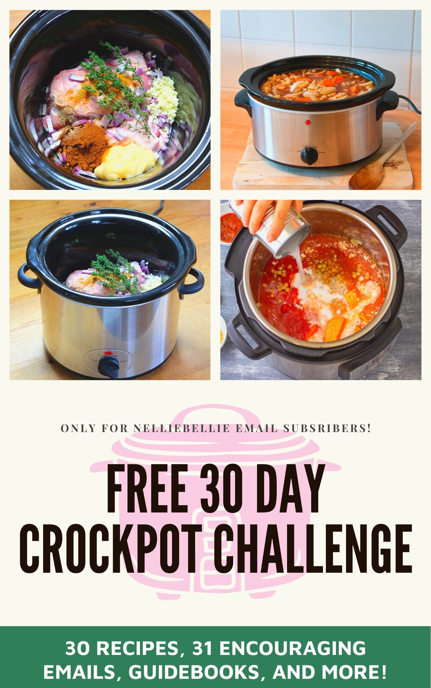 https://www.nelliebellie.com/wp-content/uploads/30-Day-crockpot-challenge-.jpg