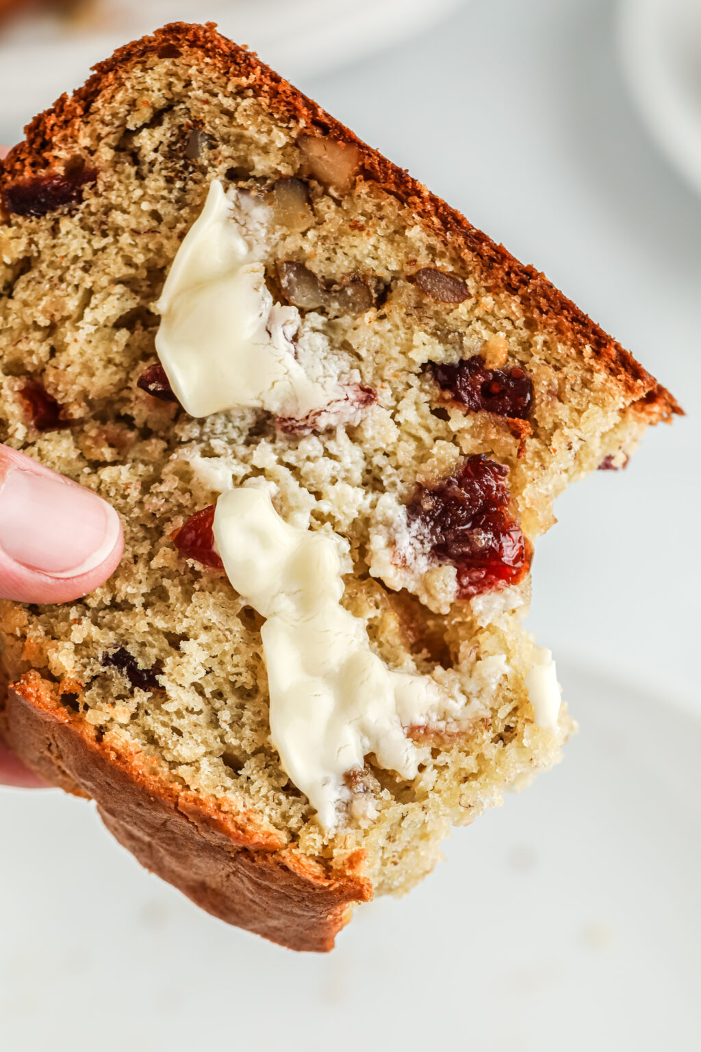 Cranberry Walnut Banana Bread Recipe Simple Moist Recipe 3860