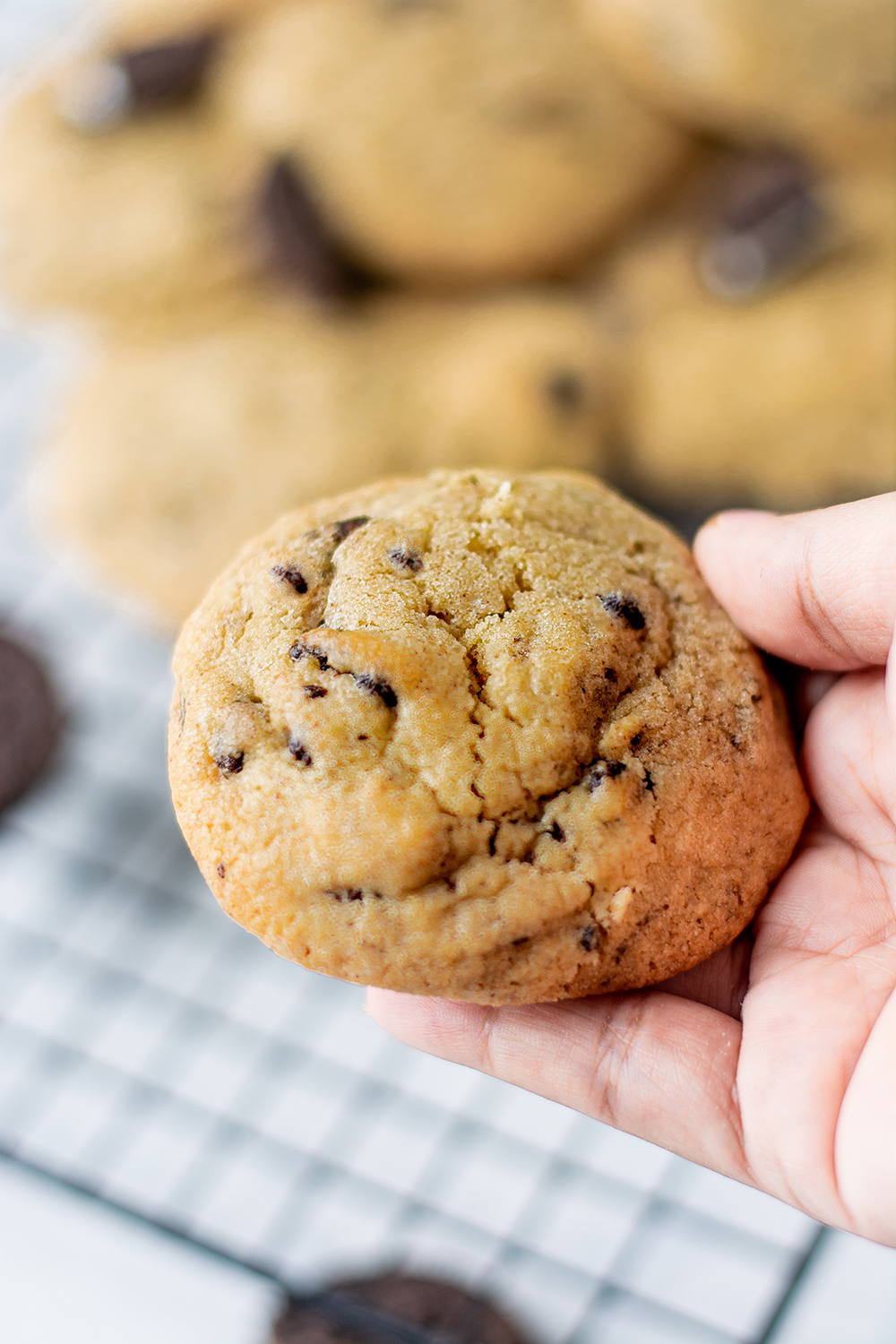 Cookies and Cream cookie in a hand ready to enjoy!