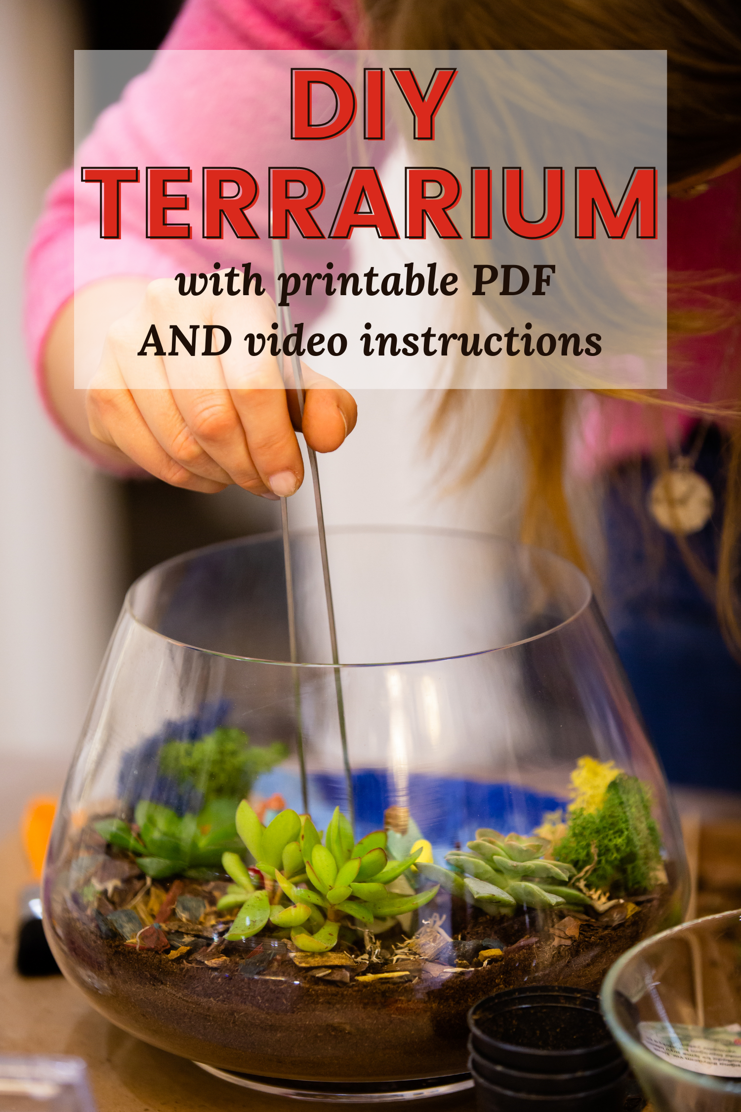 How To Plant A Terrarium-- A Video Guide To Planting An Indoor Terrarium