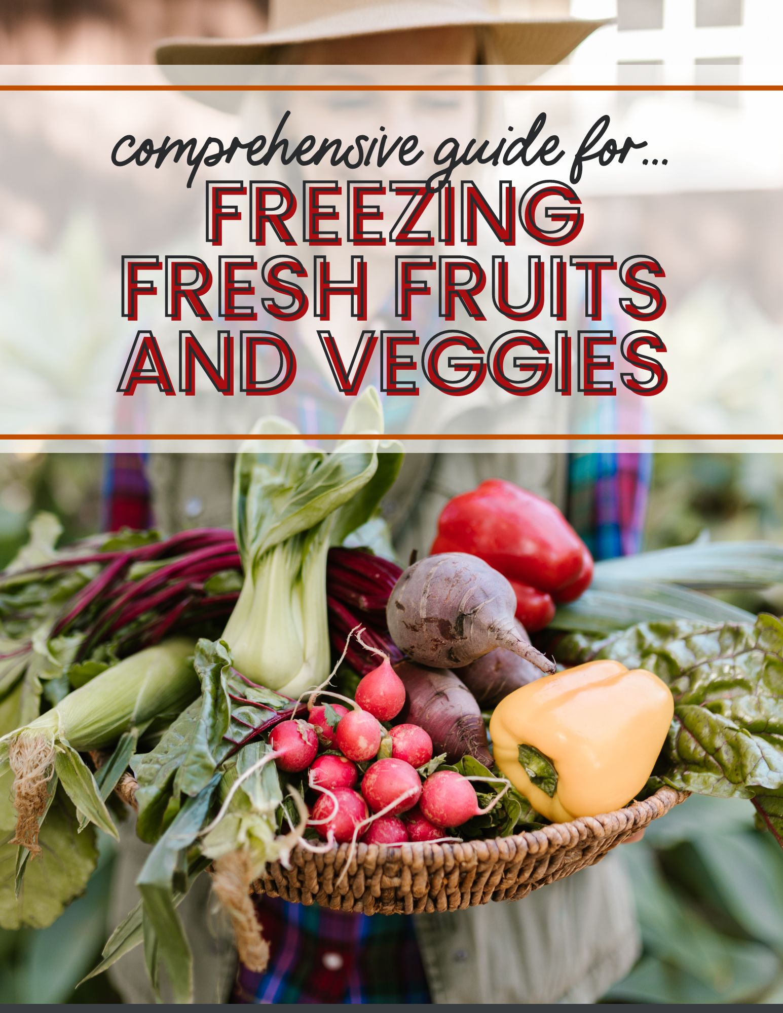 3 Pcs Vegetable Box Reusable Freezer Holders Fresh Fruits