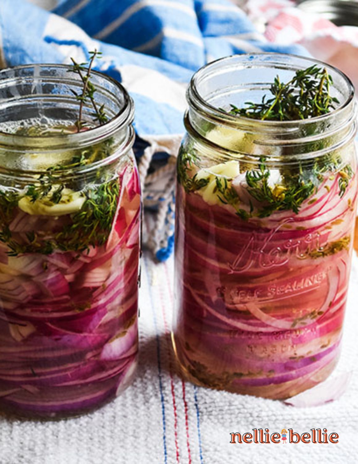 Easy Quick Pickled Red Onions (Made in 10 Mins.) - Whole Made Living