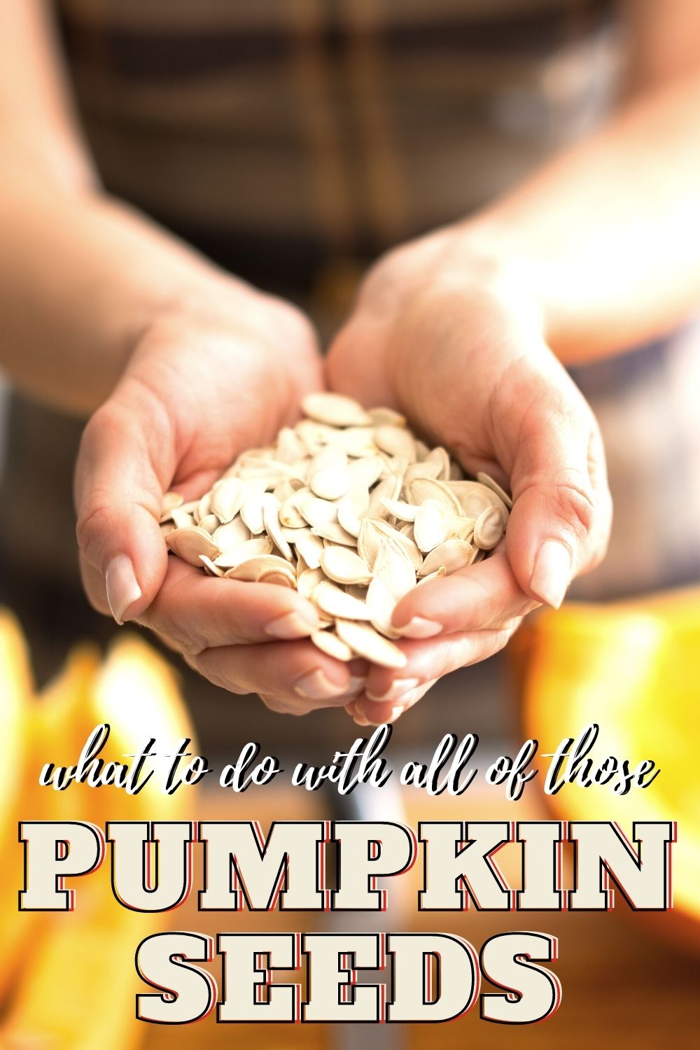 Pumpkin Seed Recipes | What to do with your Pumpkin Seeds!